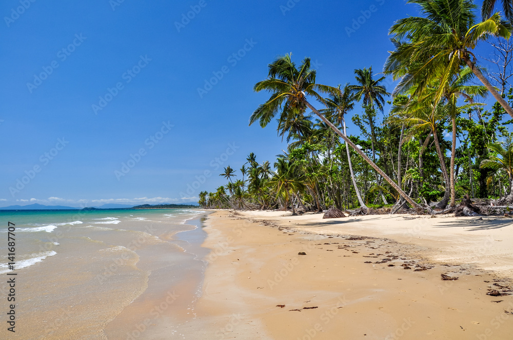 Stunning view of the beach in Mission Beach, Cassowary Coast Region, Queensland, Australia. White sand beach, crystal clear water and palm trees along the beach. Stunning view of the beach in Mission Beach, Cassowary Coast Region, Queensland, Australia. White sand beach, crystal clear water and palm trees along the beach.