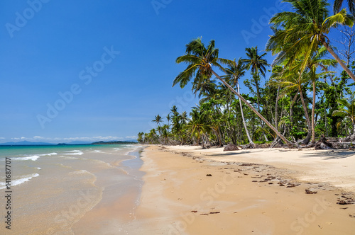 Stunning view of the beach in Mission Beach, Cassowary Coast Region, Queensland, Australia. White sand beach, crystal clear water and palm trees along the beach.
