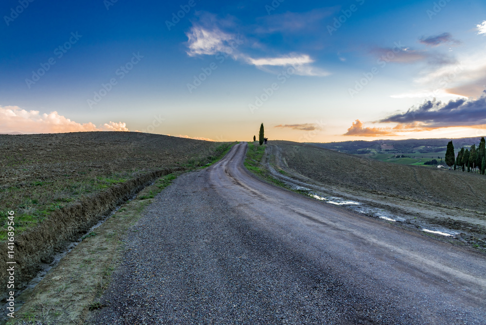 Fototapeta premium panorama of Siena in the Val d'Orcia and the Chianti hills