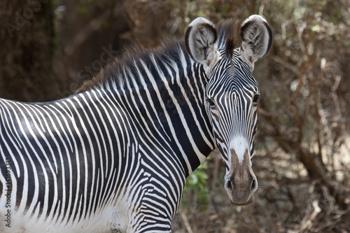 Kenya, Africa