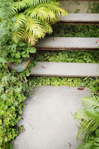 Stairway in garden.