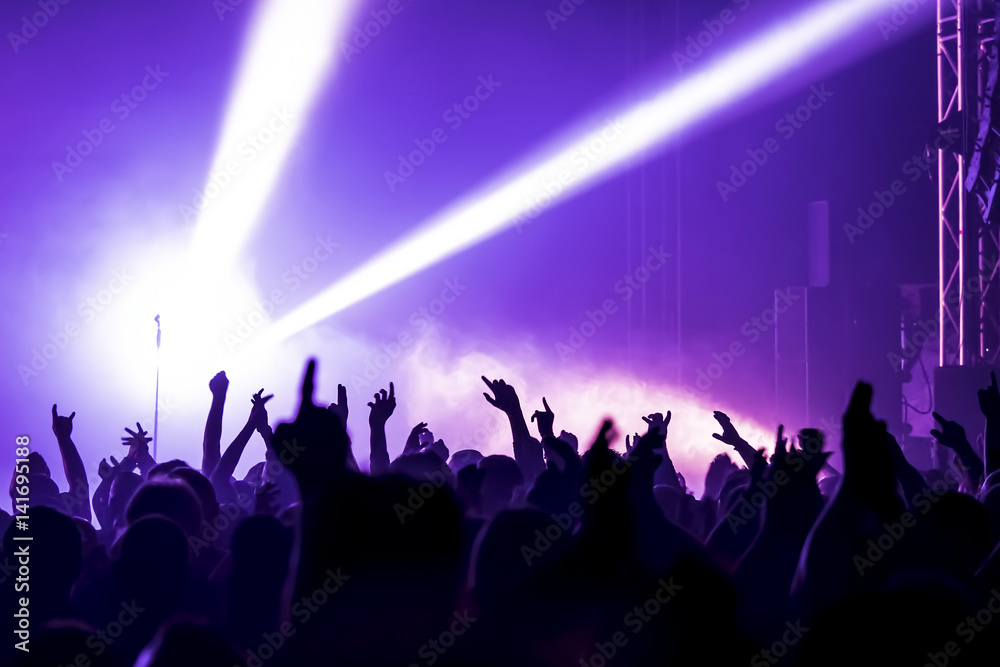 cheering crowd at a rock concert