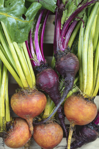 A bunch of golden and purple beets laying on a crate photo