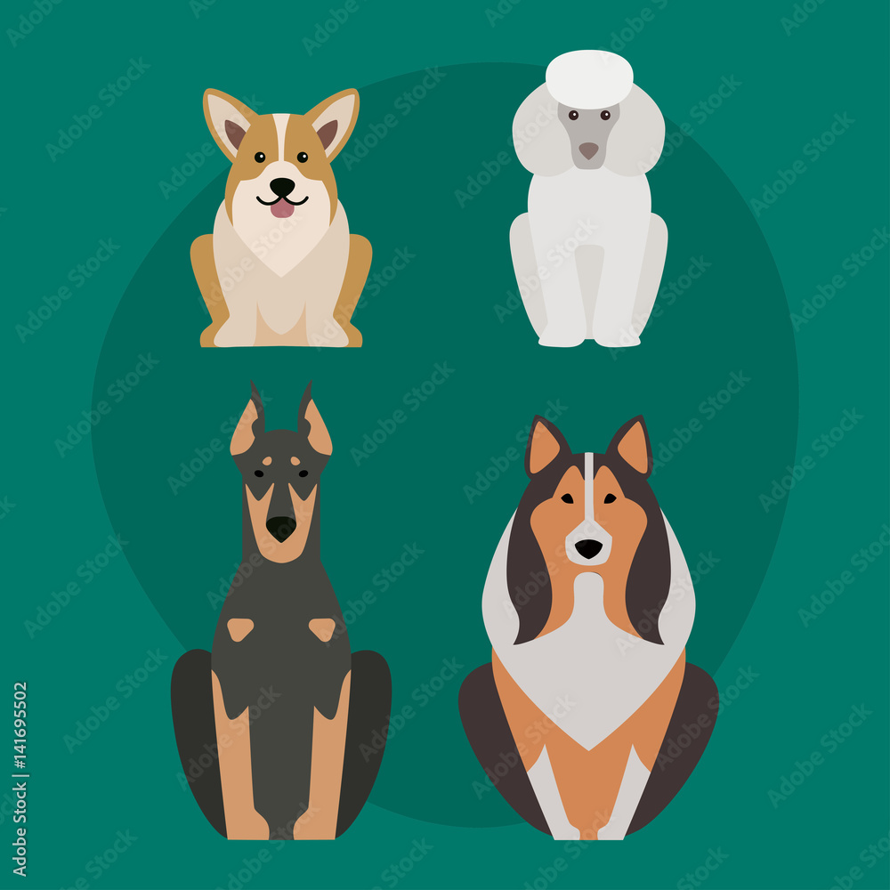 Funny cartoon dog character bread illustration in cartoon style happy puppy and isolated friendly mammal adorable mascot canine vector illustration. Funny cartoon dog character bread illustration in cartoon style happy puppy and isolated friendly mammal adorable mascot canine vector illustration.