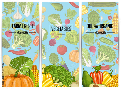 Organic vegetable farming flyers set vector illustration. Locally grown vegetable, vegan retail, natural product. Healthy farm food advertising with broccoli, potato, corn, cabbage, tomato, radish