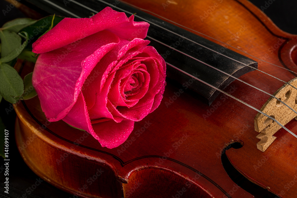 Obraz premium Violin sheet music and rose