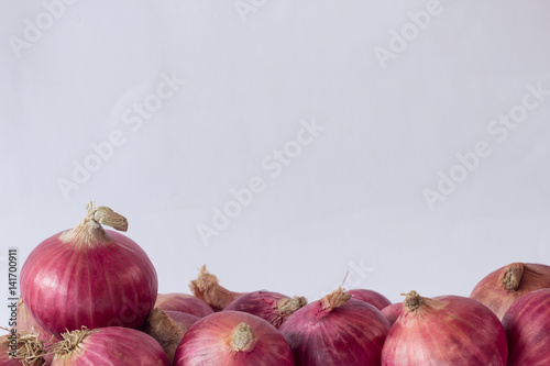 Onions on the floor,.Front view