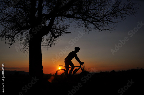 Cyclist ride a bike in sunset under a big tree. Silhouette on cyclist and tree