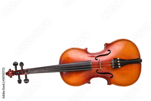 Canvas Print Old violin on white background