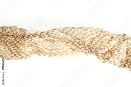Snake slough put on white background represent the animal and texture surface background concept related idea.