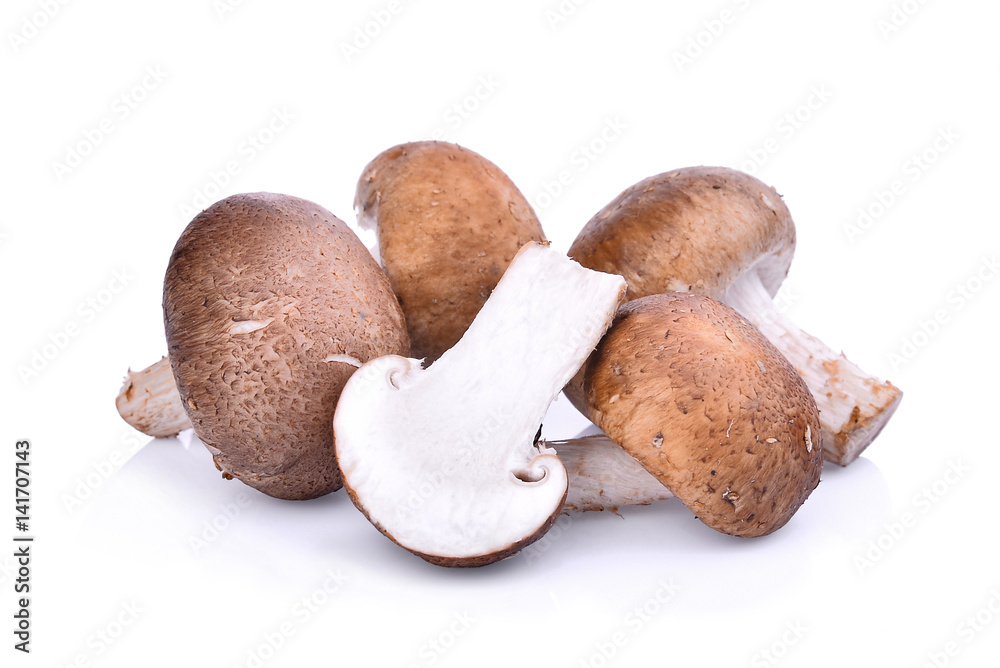 Shiitake mushroom isolated on white background Shiitake mushroom isolated on white background