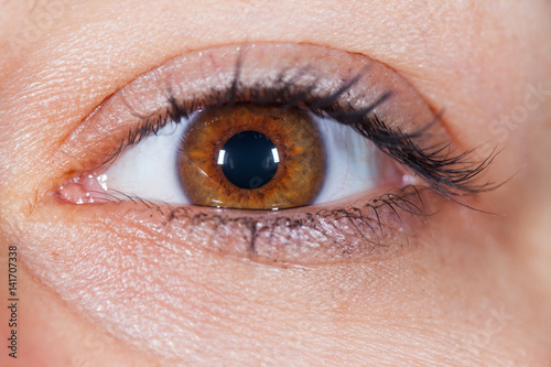 Fototapeta Naklejka Na Ścianę i Meble -  Young female's brown eye