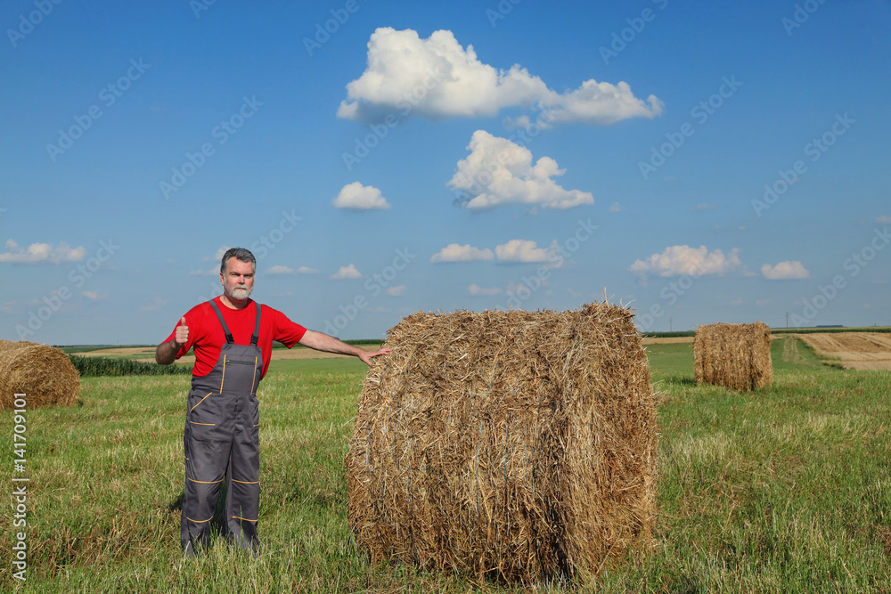 Farmer and bale of hay in field, gesturing with thumb up Farmer and bale of hay in field, gesturing with thumb up