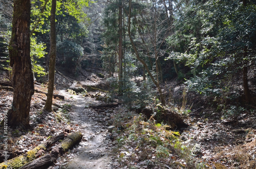 Fototapeta premium 京都 大文字山