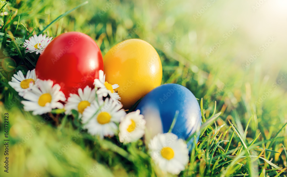 Colorful Easter eggs in a grass