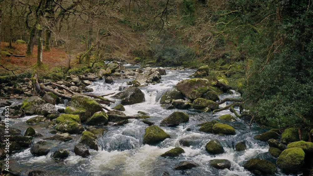 Scenic River Through Wild Forest Scenic River Through Wild Forest