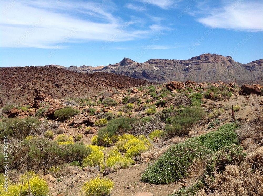 The landscape of National park