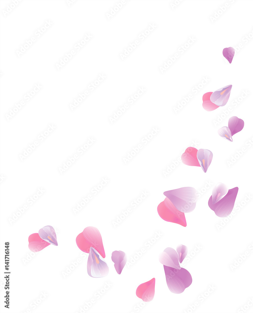 Purple Violet flying petals isolated on White background. Sakura Roses petals. Vector 