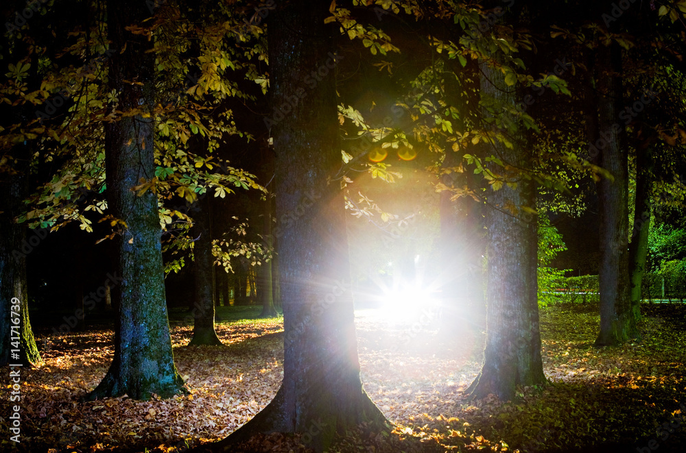 Die blaue Stunde Photos | Adobe Stock