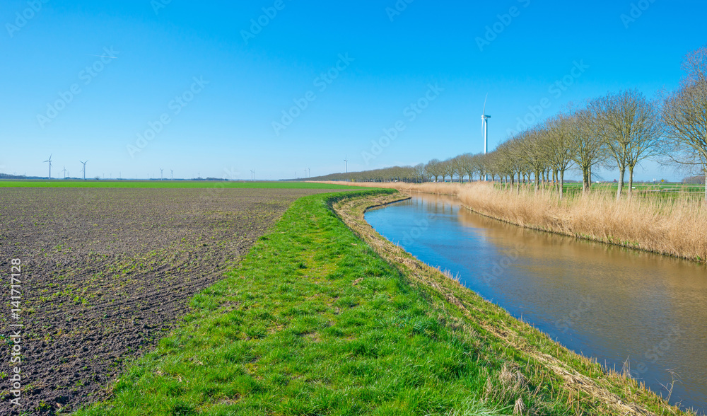 Canal through the countryside in spring Canal through the countryside in spring