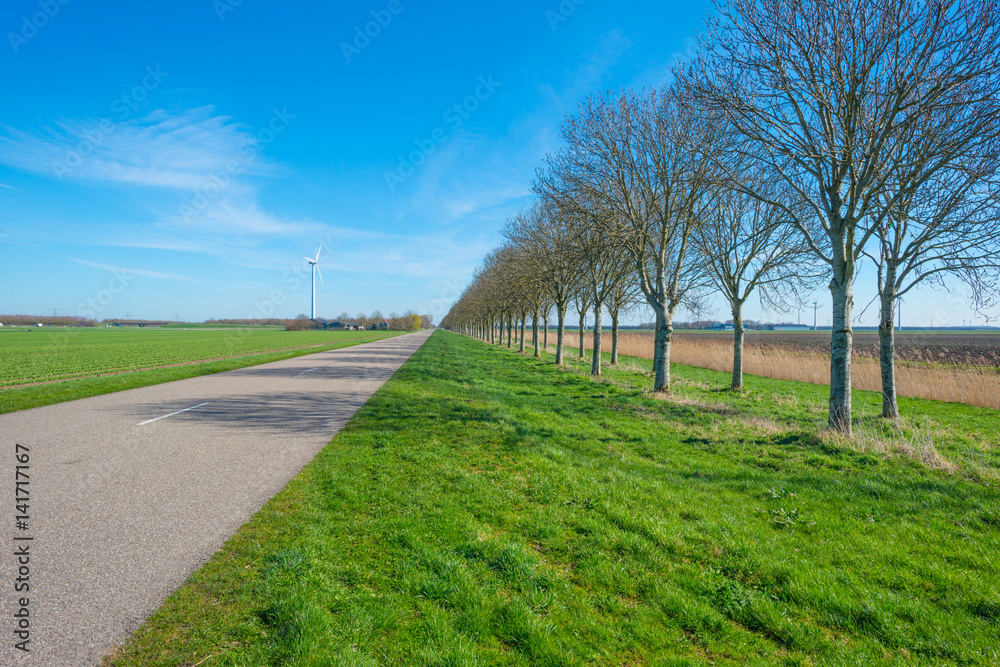Road through the countryside in spring