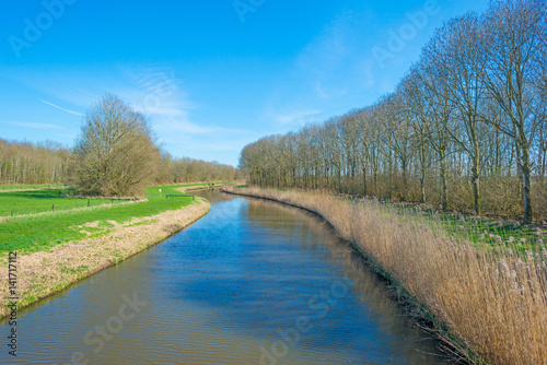Canal through the countryside in spring
