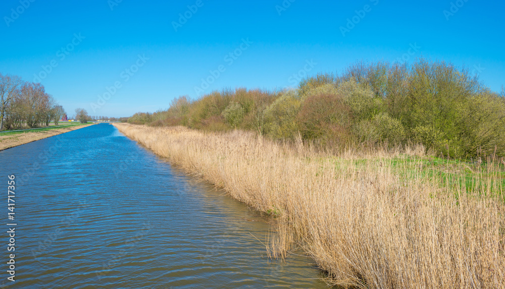 Canal through the countryside in spring Canal through the countryside in spring
