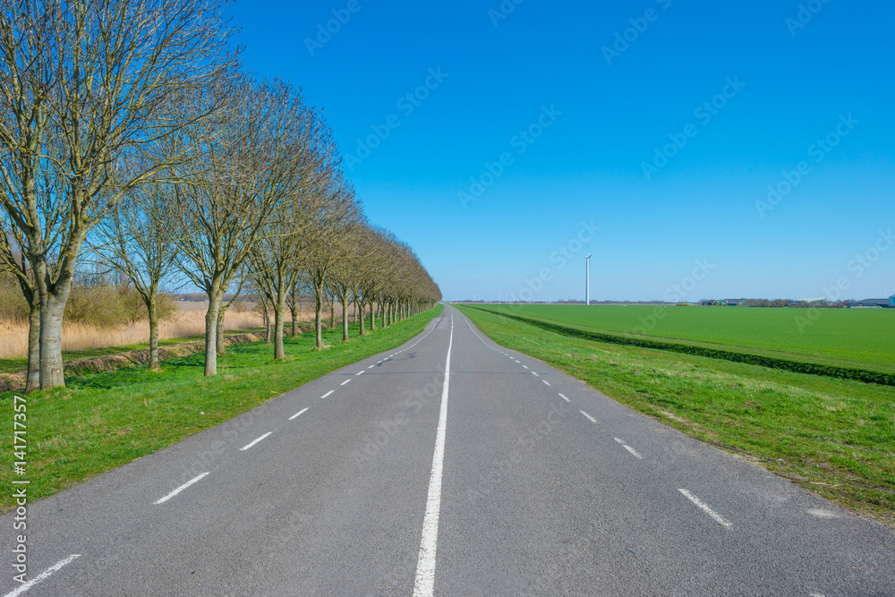 Road through the countryside in spring