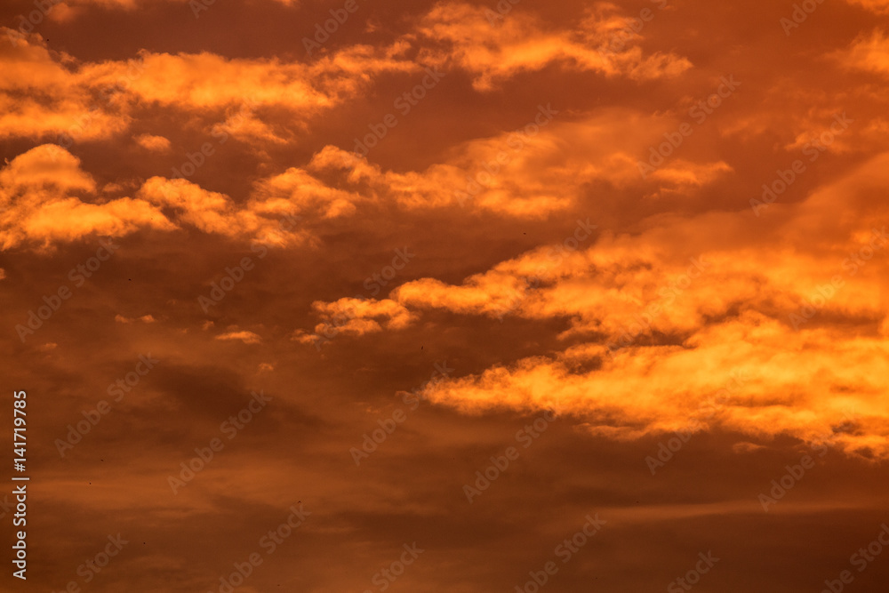 Obraz premium Clouds during the sunset