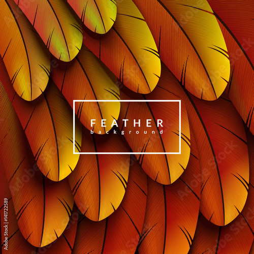 Colorful feathers background. Abstract feather composition. Eps10 vector illustration.