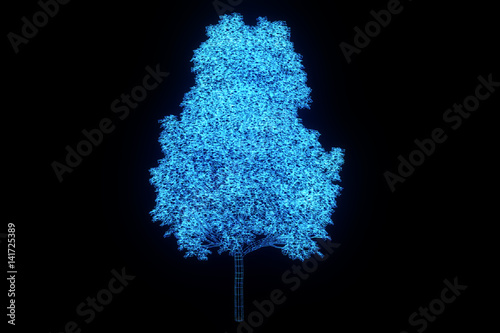 Tree Plant in Wireframe Hologram Style. Nice 3D Rendering

