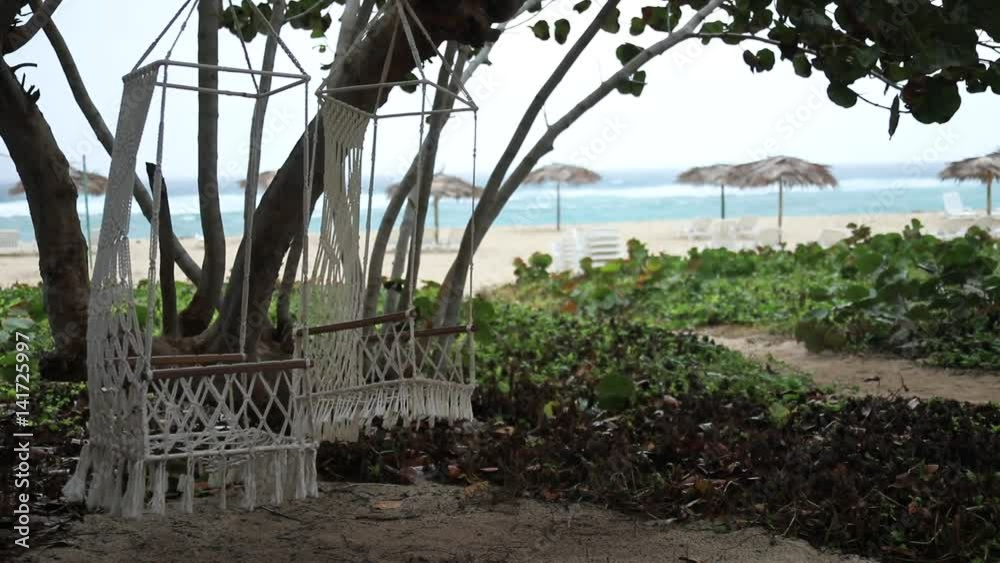 Rope chairs hanging from a tree sway in the wind with the beach in the background