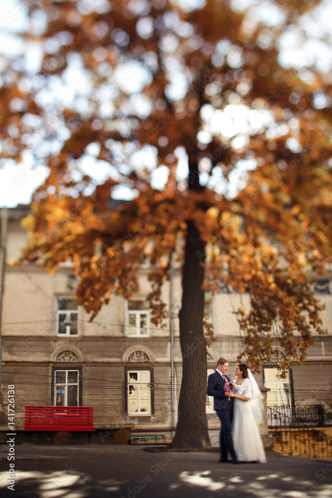 Naklejka premium Lovely wedding couple admires each other under large autumn tree