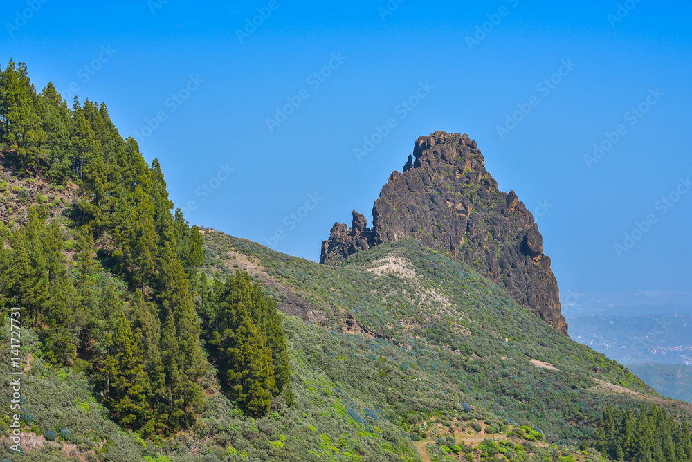 Fototapeta premium Mountain landscape with rocks and pine trees in Gran Canaria island, Spain 
