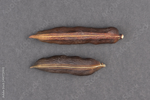 two brown pods black isolated, closeup