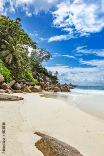 Natural tropical beach