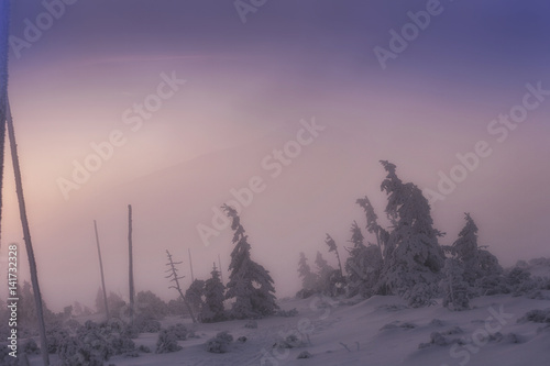 Early morning in winter mountains photo