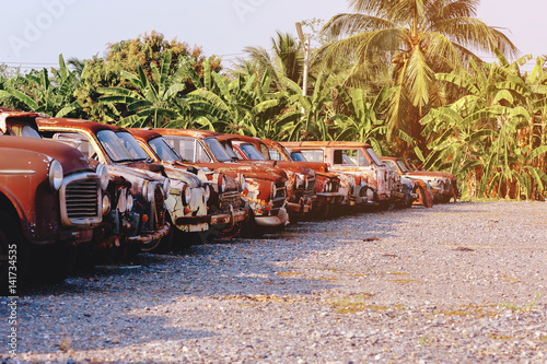 rows of cars in a salvage yard facing each other photo