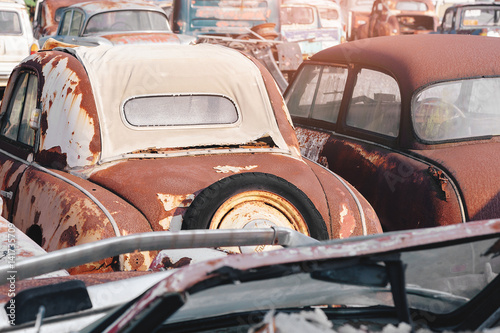 rows of cars in a salvage yard facing each other