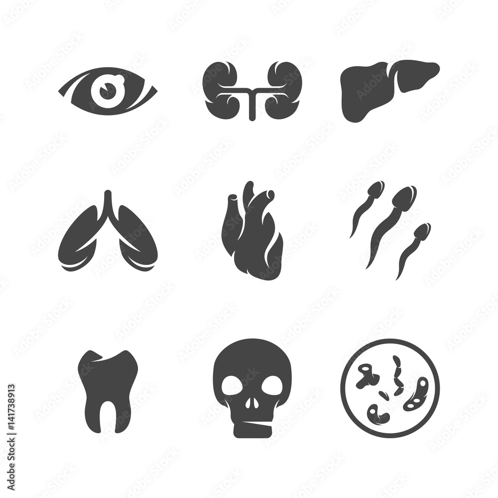 Modern icons set silhouettes of human organs Modern icons set silhouettes of human organs