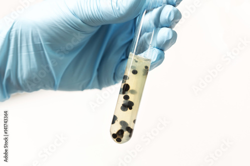 chemical test tube in hand on white isolated background