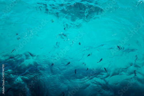 Fish in transparent water, Background, splash