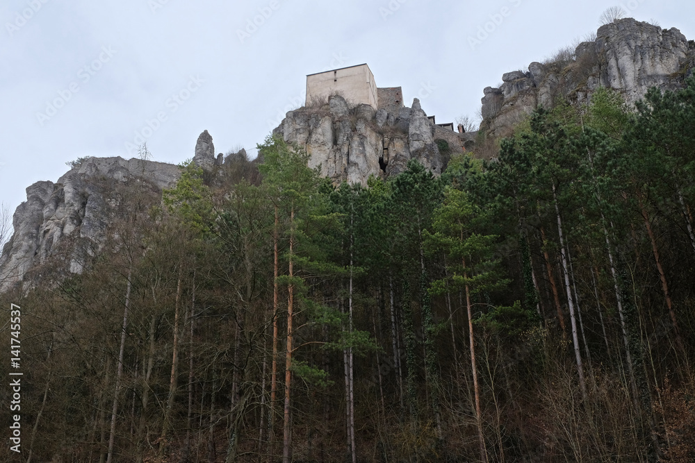 Burg Arnsberg in Bayern