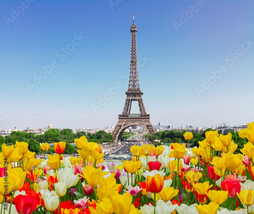 Eiffel Tower and Paris skyline in spring sunny day with tulips, France