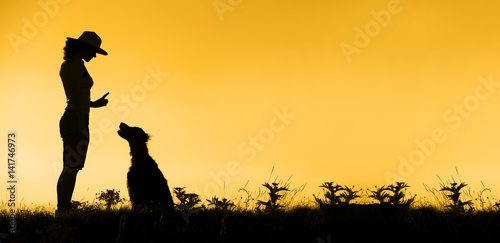 Website banner of dog training silhouette