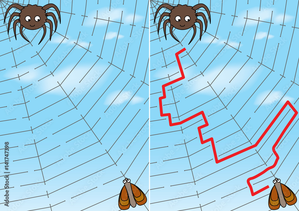 Spider maze Stock-Vektorgrafik | Adobe Stock