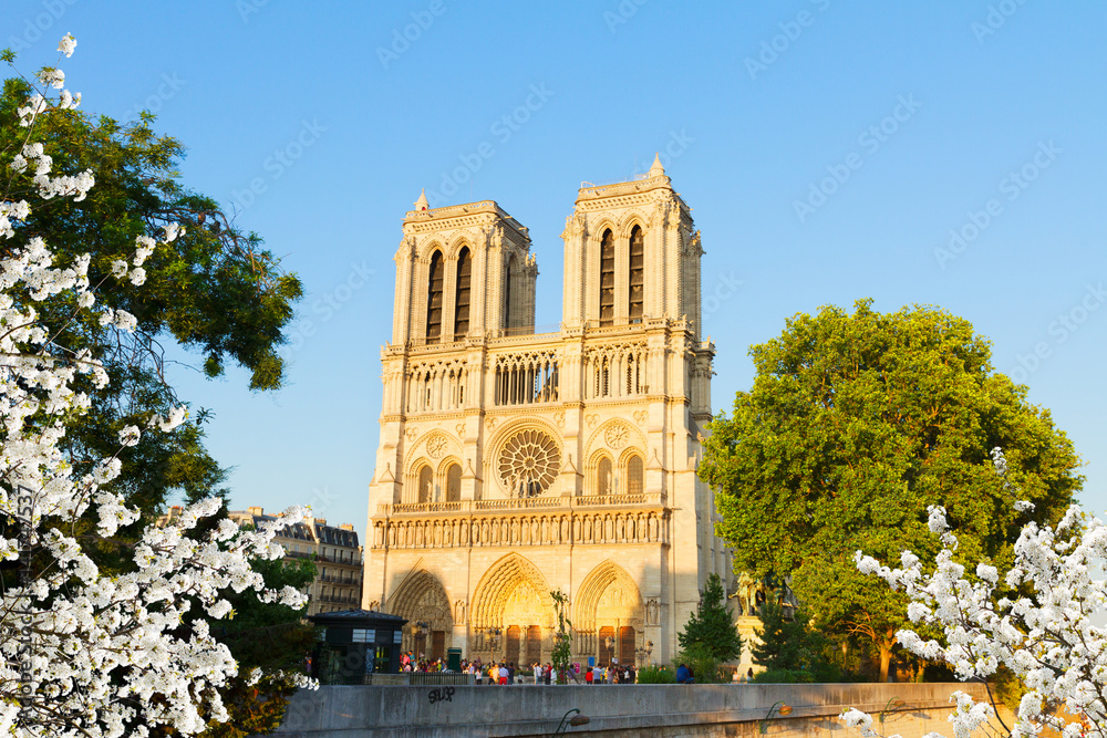 facade of famous Notre Dame cathedral at spring day, Paris, France