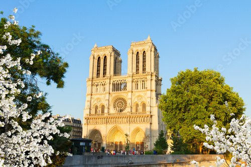 facade of famous Notre Dame cathedral at spring day, Paris, France