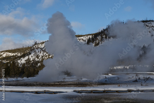 View at West Geyser, Yellowstone national park
