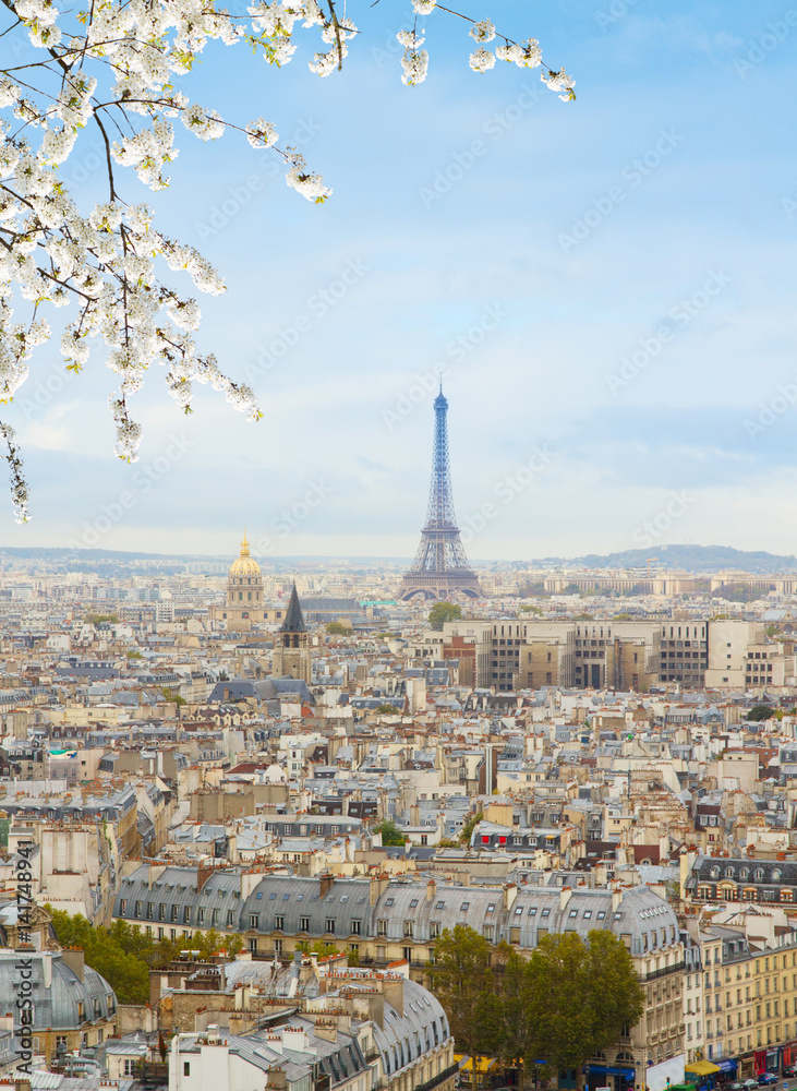 skyline of Paris city roofs with Eiffel Tower from above with spring tree, France